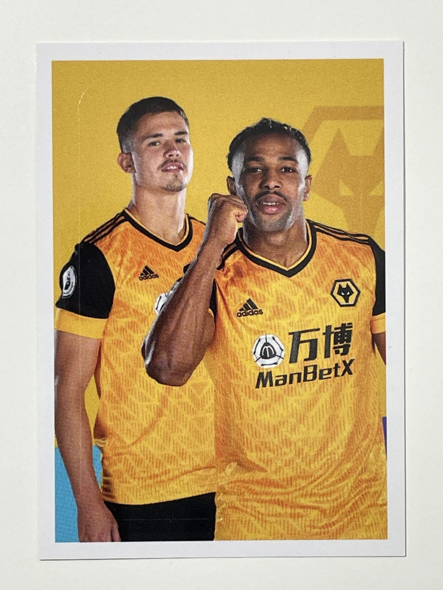 22 Wolves Graphic Sticker Premier League 2021 Football Sticker