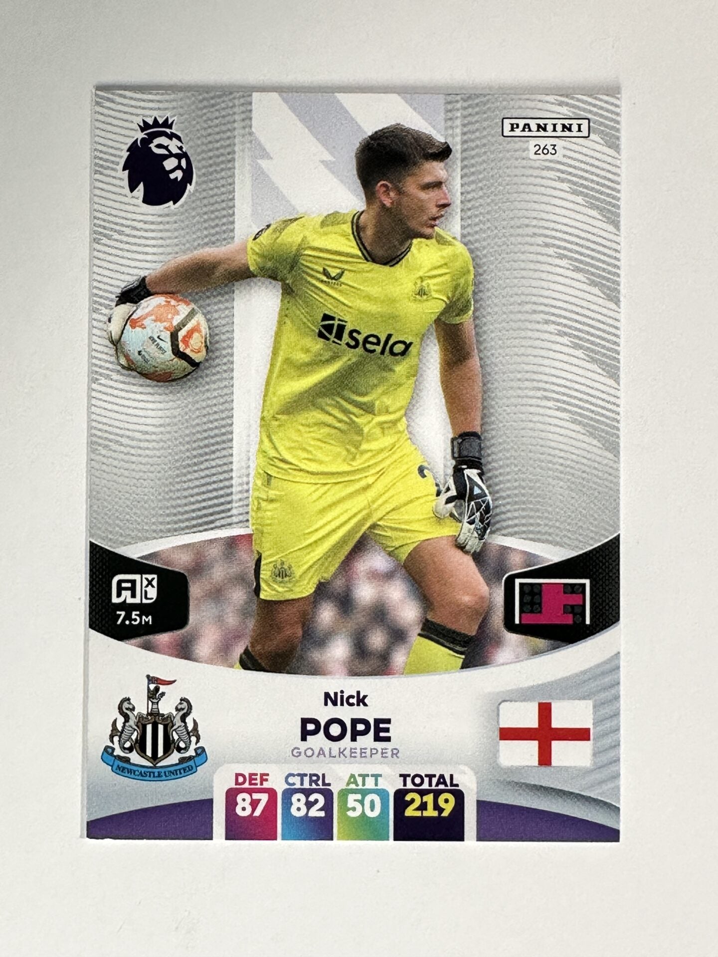 263 Nick Pope Newcastle Base Panini Premier League Adrenalyn XL 2024 Card