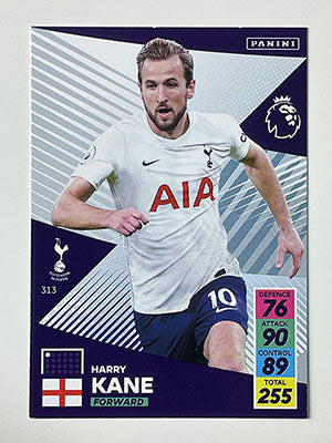 313.-Harry-Kane-Base-Football-Card-Panini-Adrenalyn-XL-2021-22