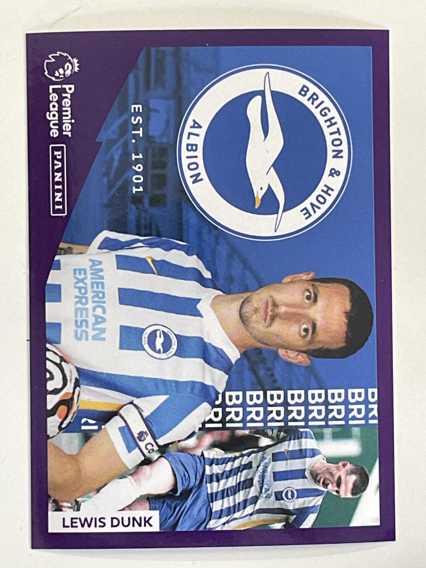 Brighton Captain Panini Premier League 2022 Football Sticker