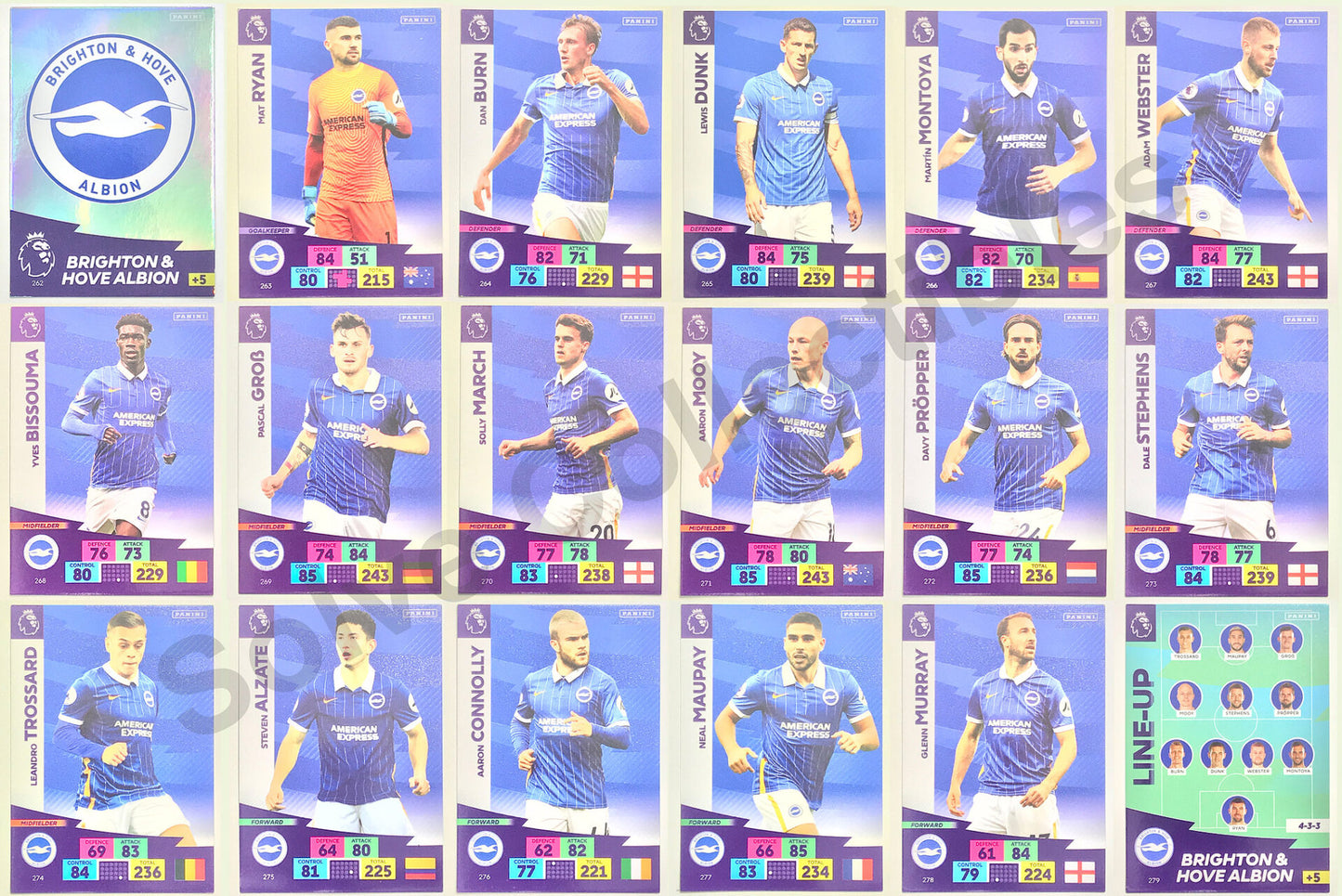 Brighton Complete Team Set (18 Cards) Football