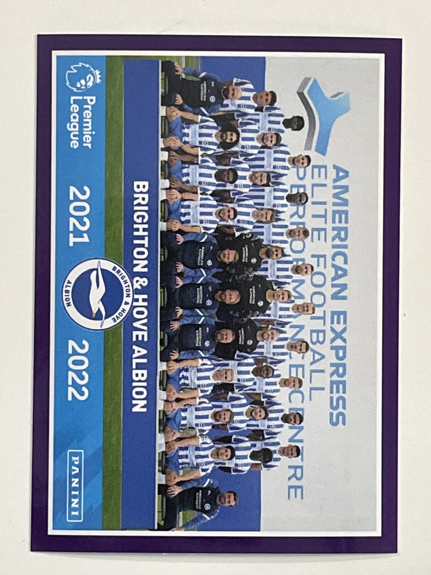 Brighton Team Photo Panini Premier League 2022 Football Sticker