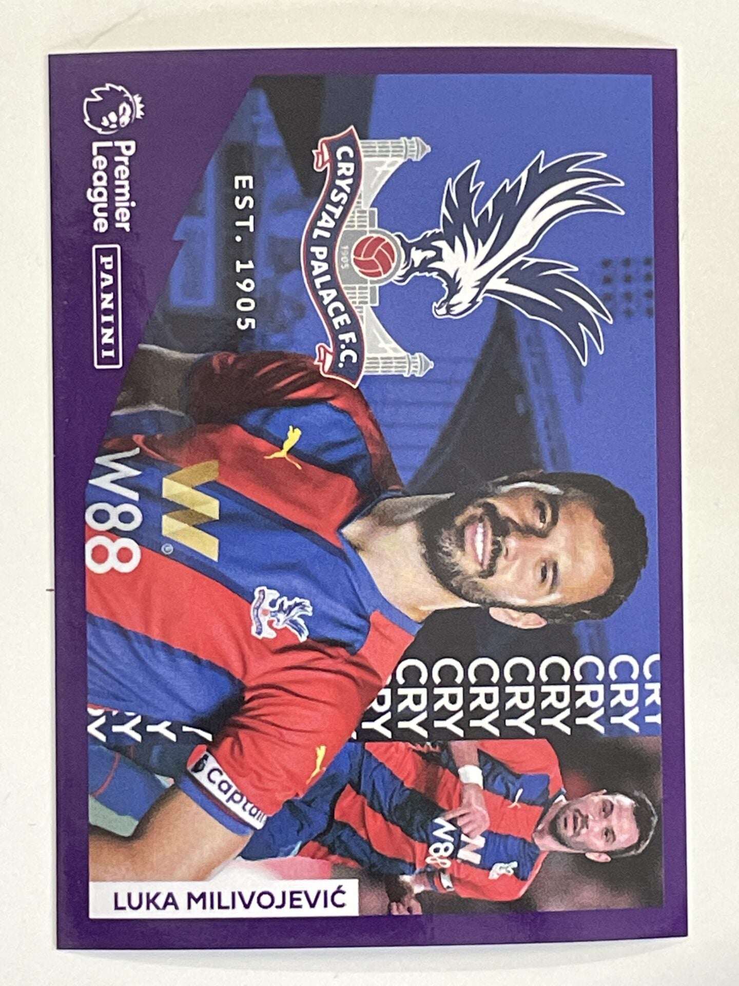 Crystal Palace Captain Panini Premier League 2022 Football Sticker