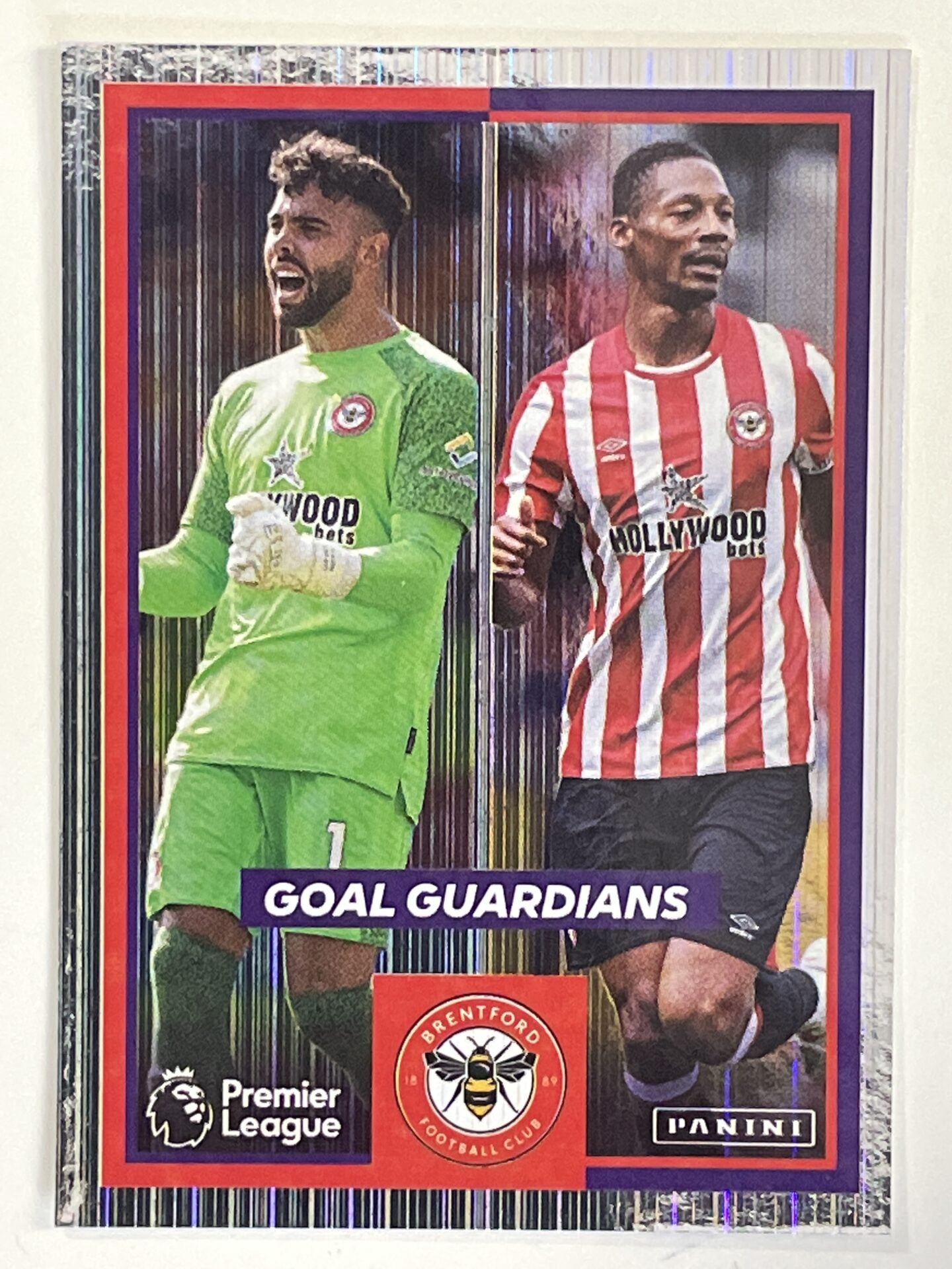 Goal Guardians Brentford Panini Premier League 2022 Football Sticker