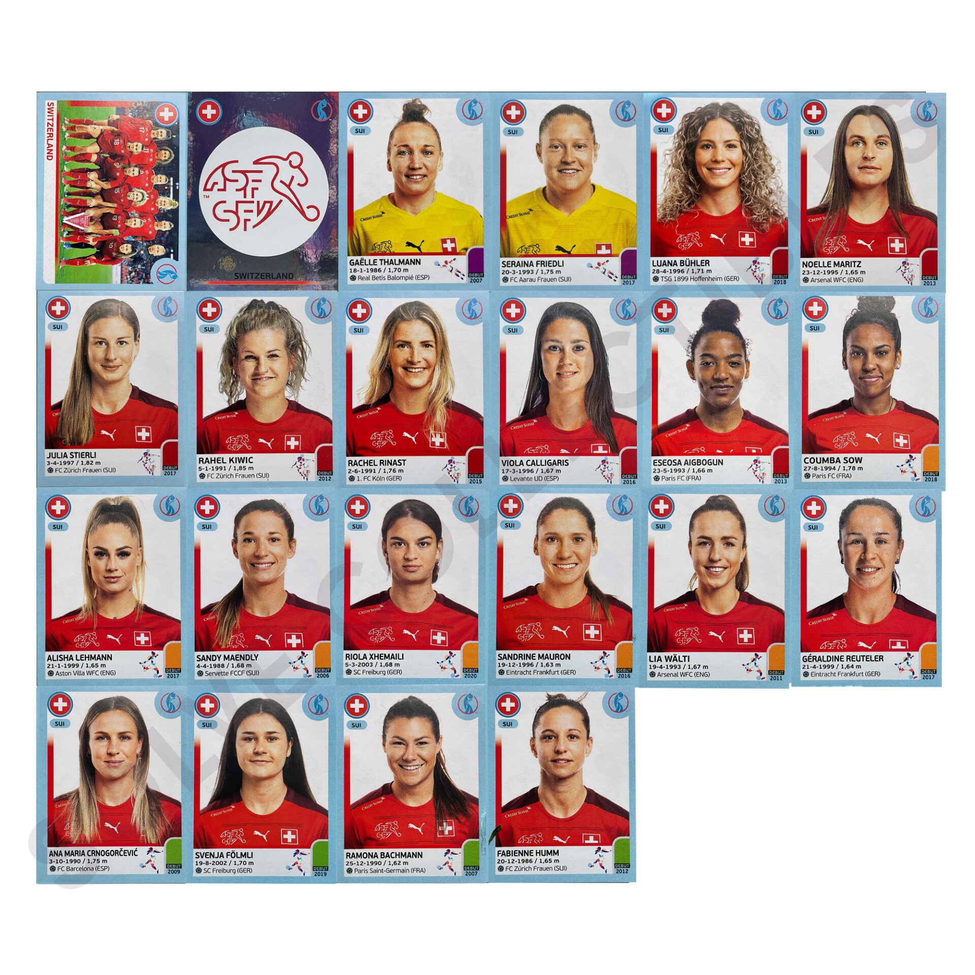 Switzerland Team Photo Watermark