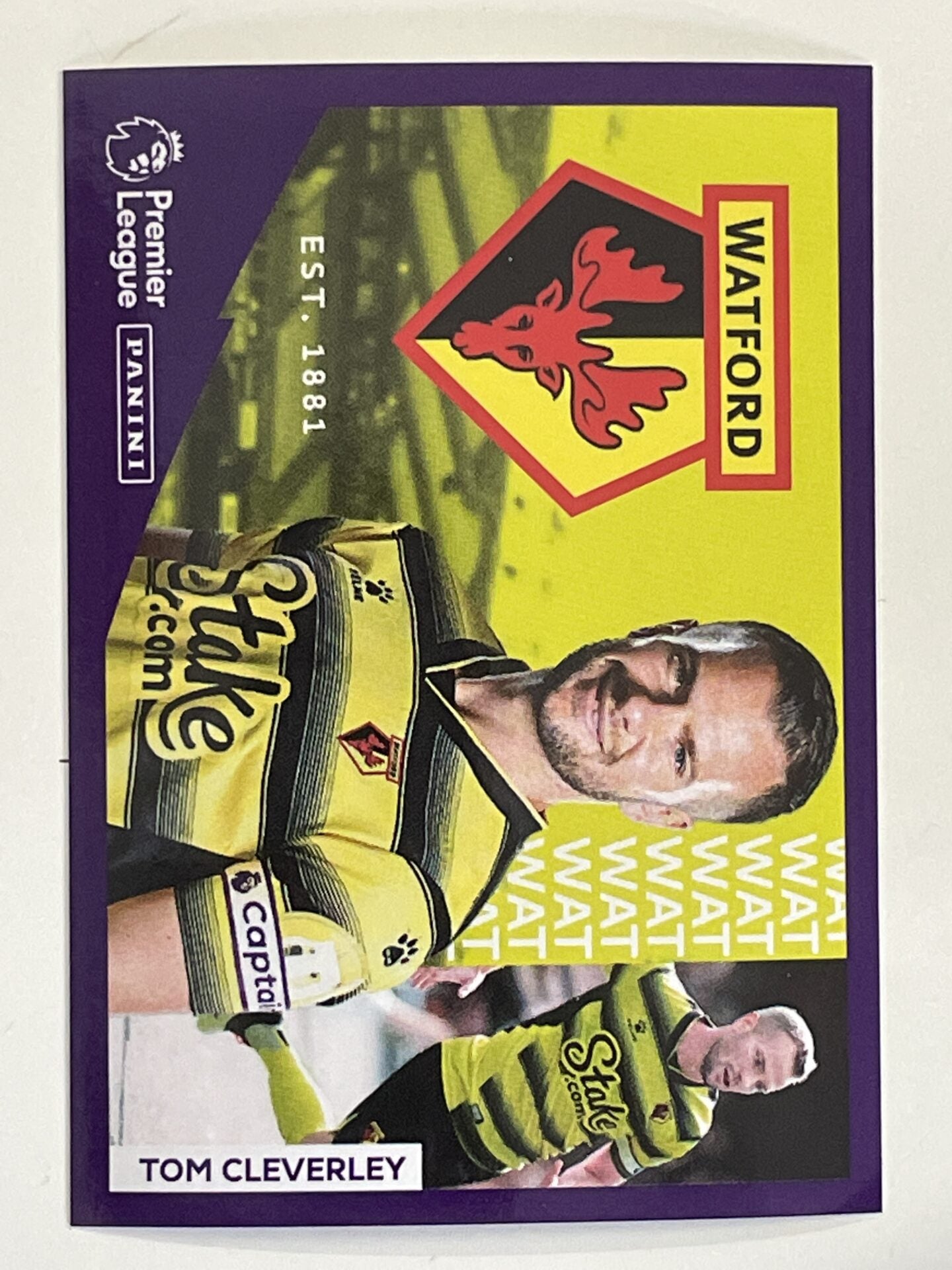 Watford Captain Panini Premier League 2022 Football Sticker