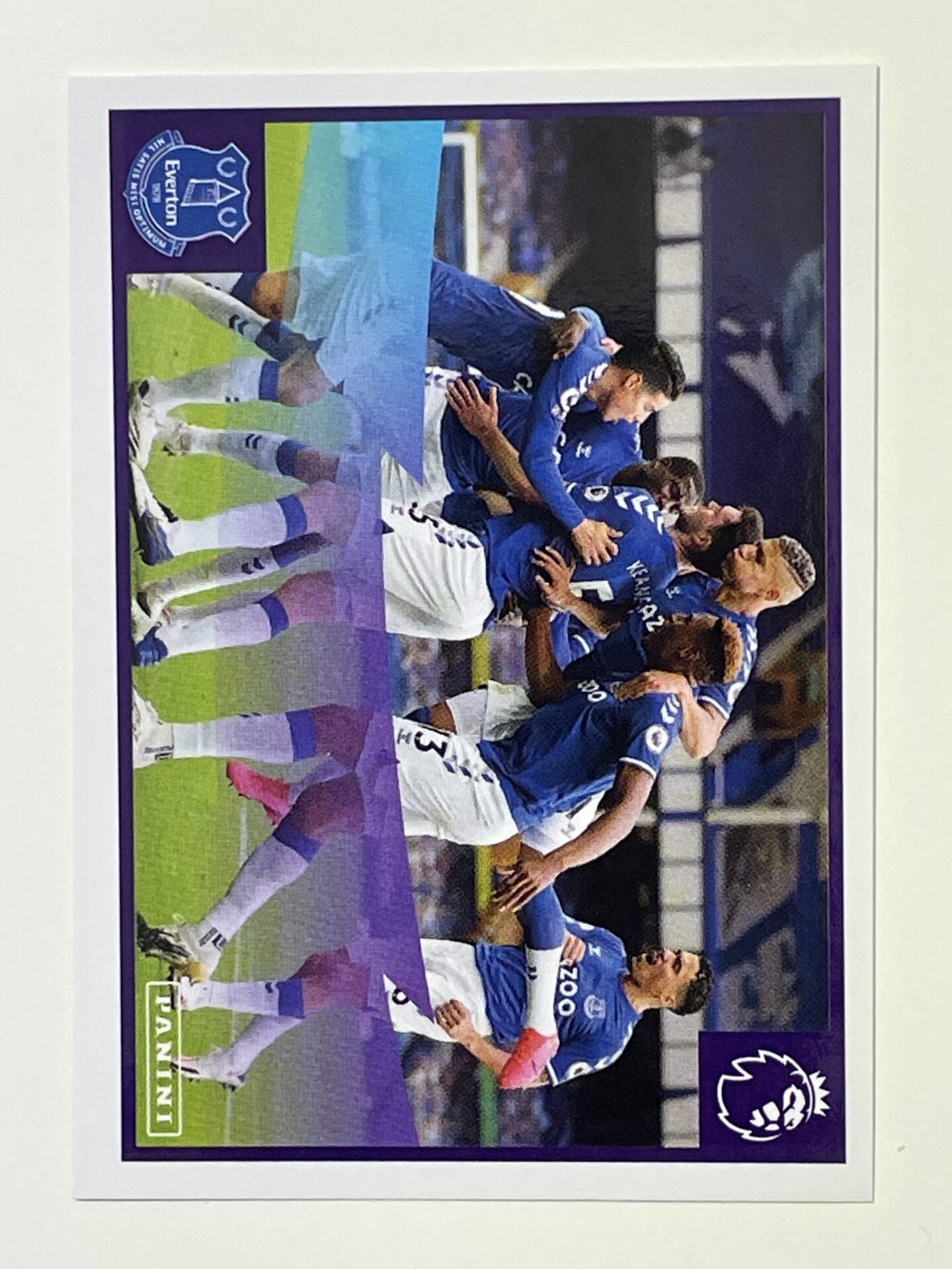 222 Terrific Toffees Sticker Everton Premier League 2021 Football Sticker