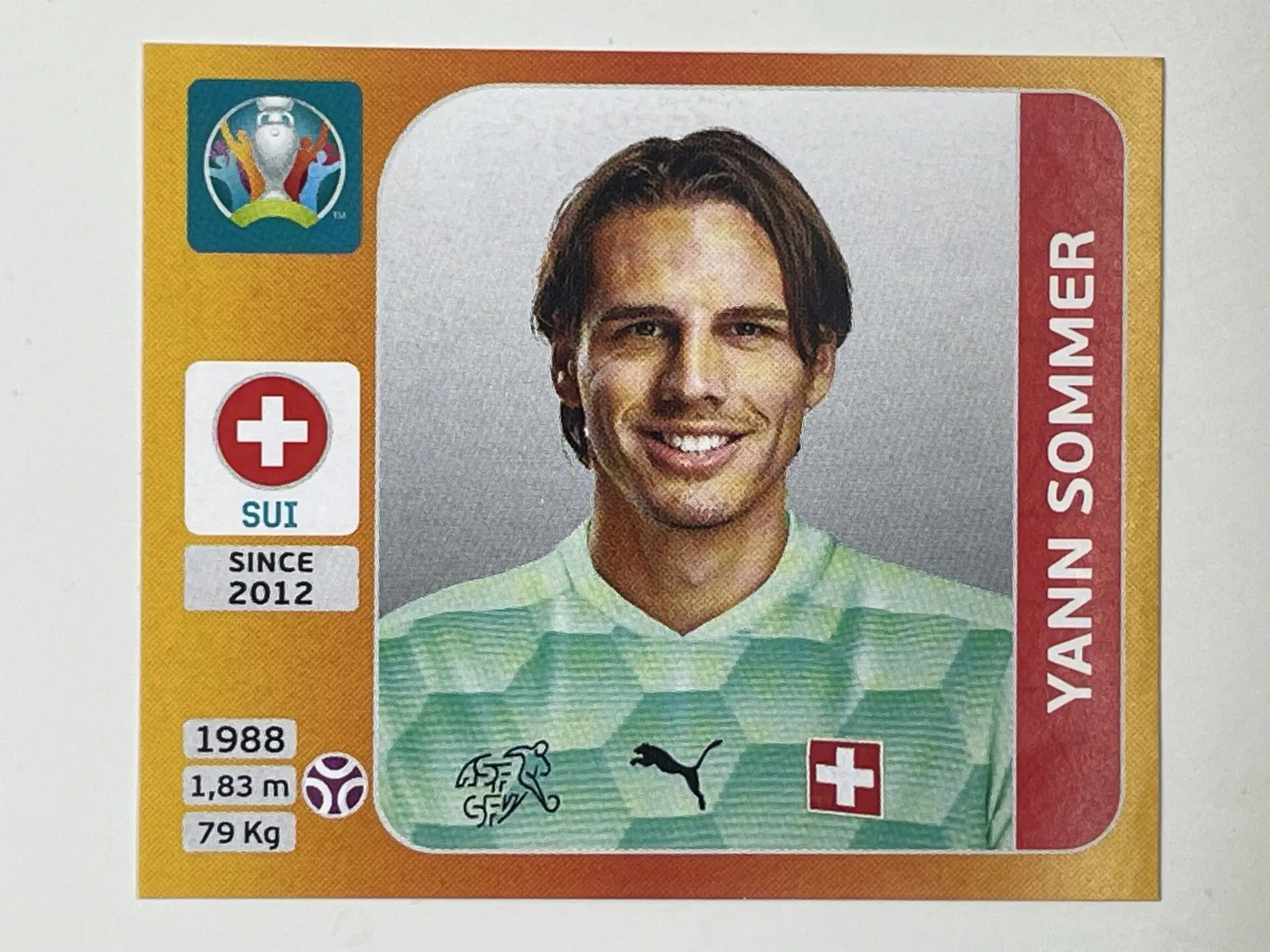 : 2017-18 Panini Select Soccer #51 Yann Sommer : Collectibles &  Fine Art